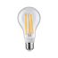 LED-Leuchtmittel E27 15 W 2000 lm