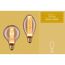 LED-Leuchtmittel 'InnerGlow' E27 3,6 W 120 lm