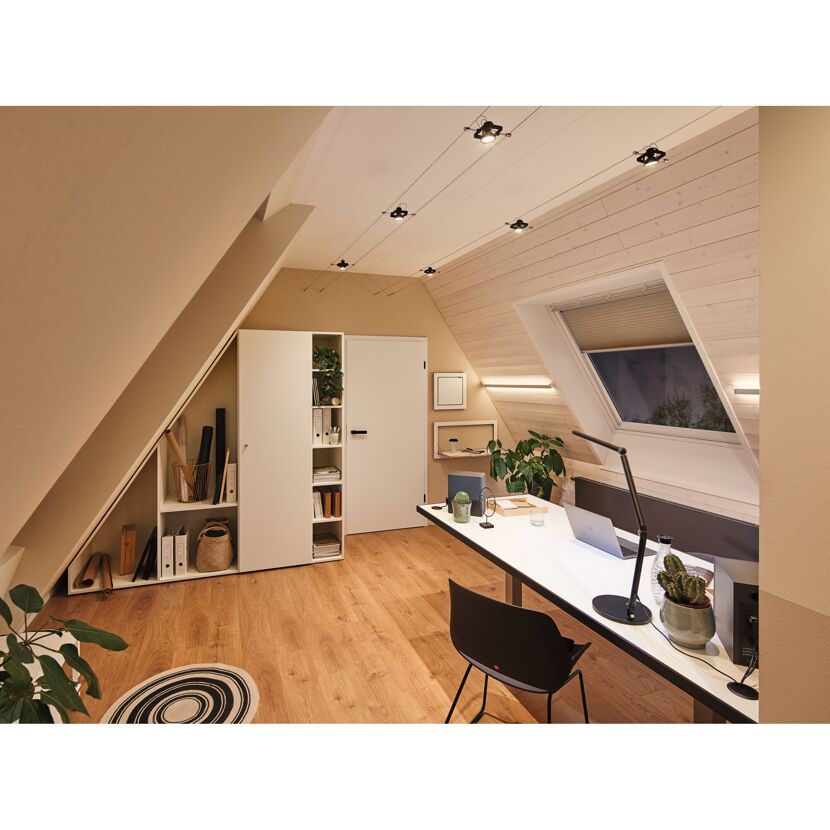 LED-Leuchtmittel GU5,3 3x6 W 450 lm 3 Stück