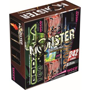 Batterie-Feuerwerk 'Monster' 5-teilig 242 Schuss