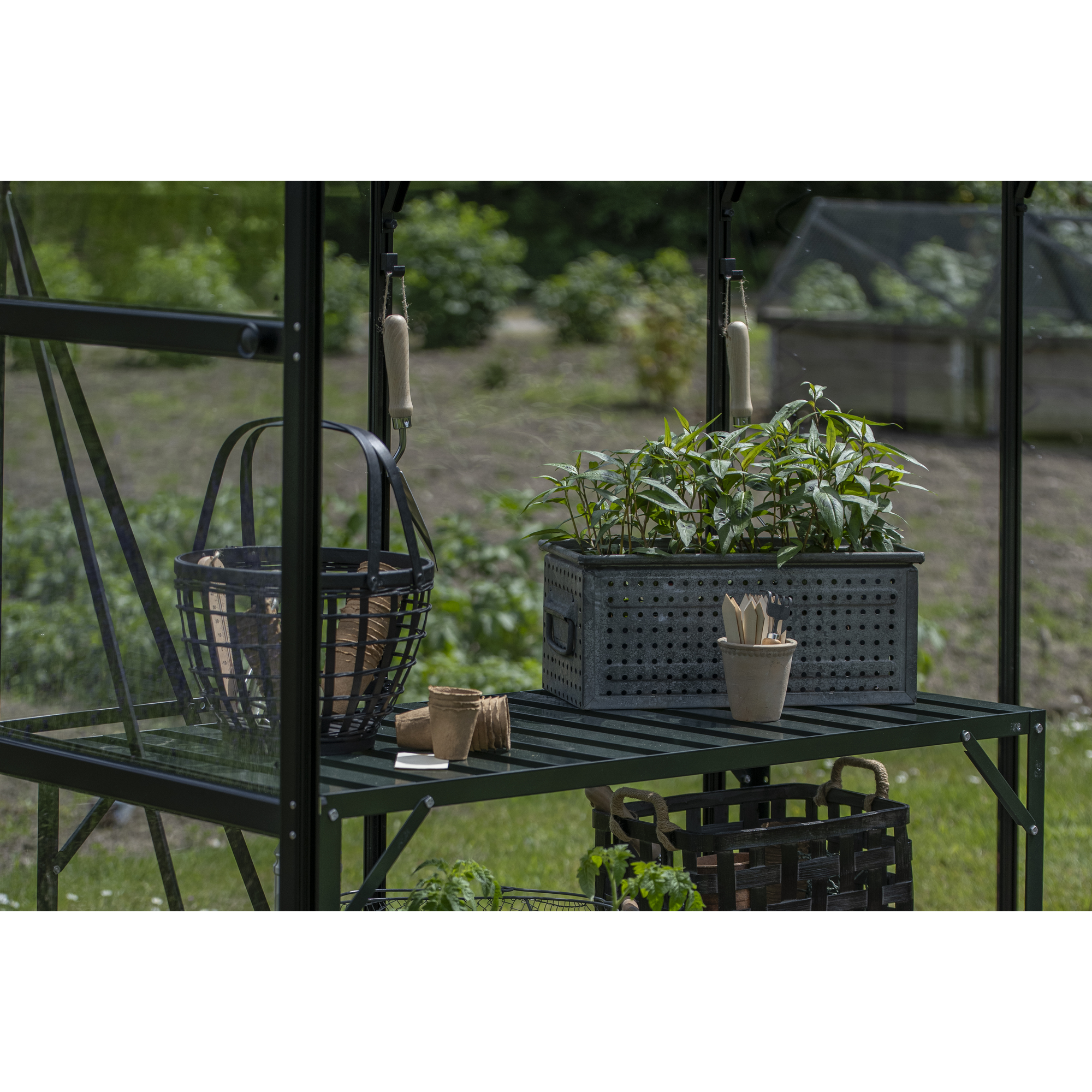 Alu-Tisch 1 Ebene für Gewächshäuser grün