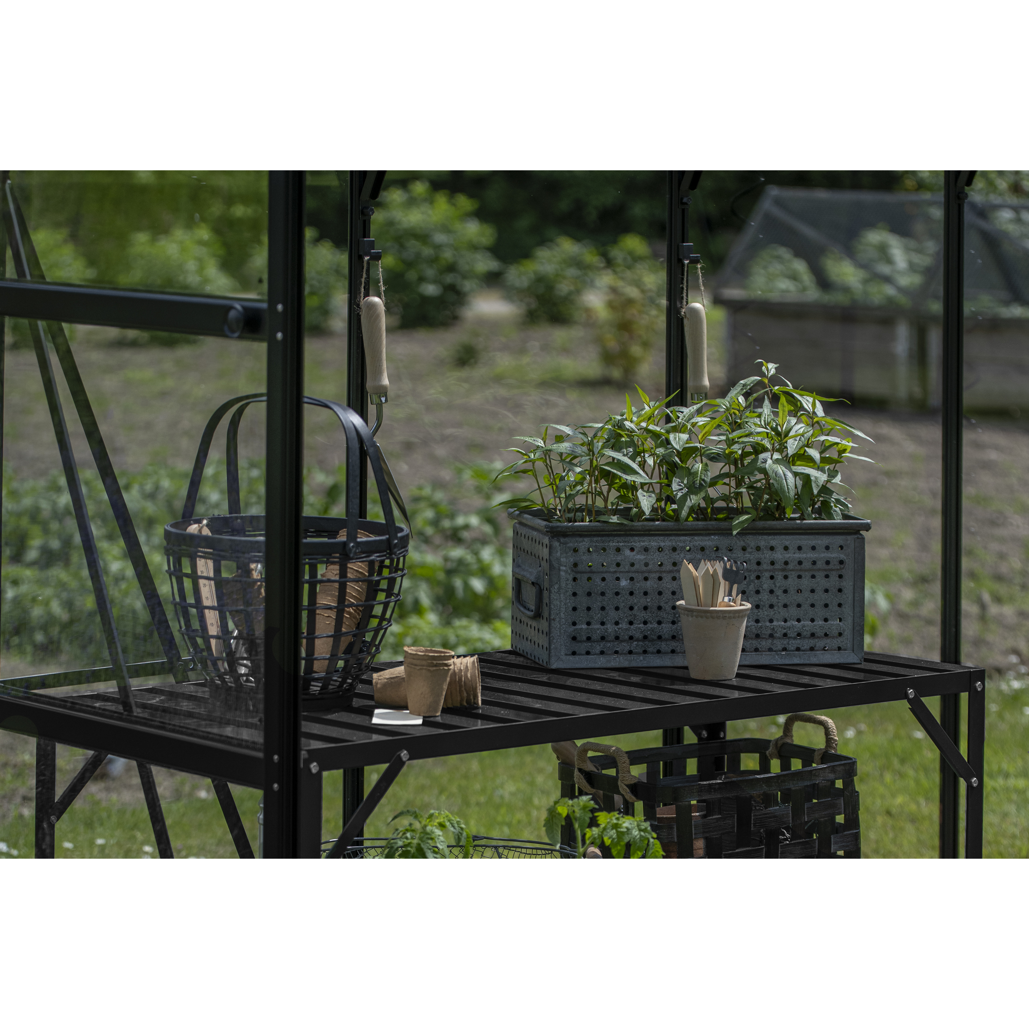 Alu-Tisch 1 Ebene für Gewächshäuser schwarz