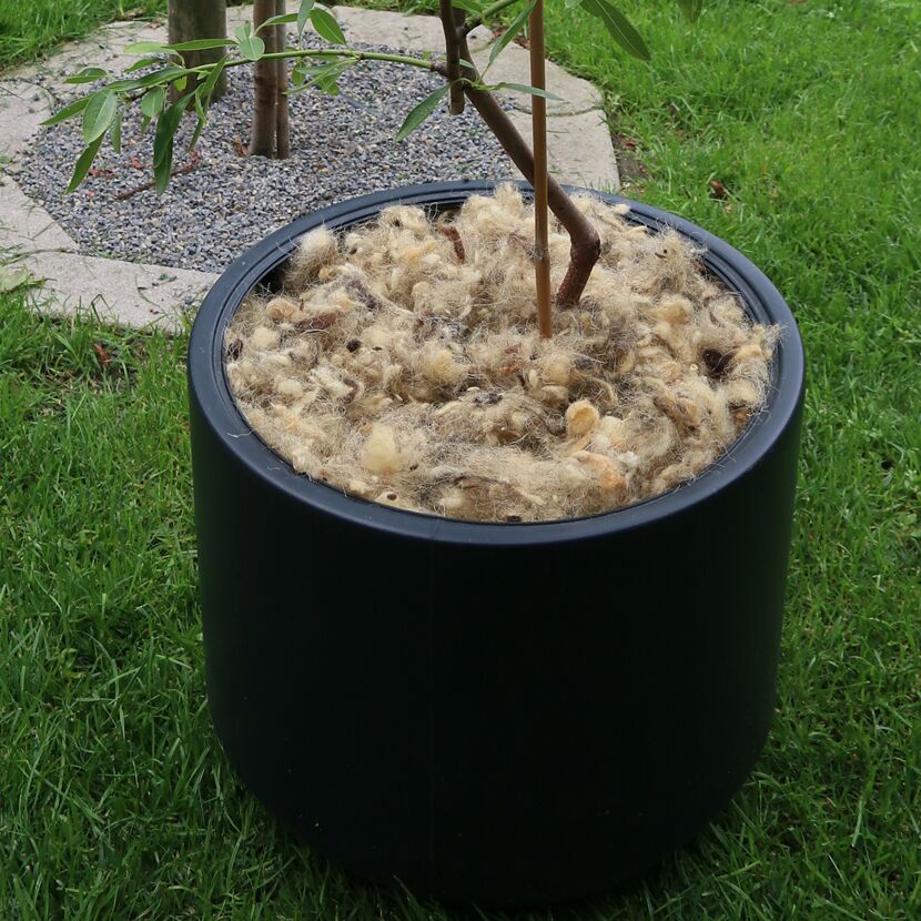Schafwollflocken 250 g