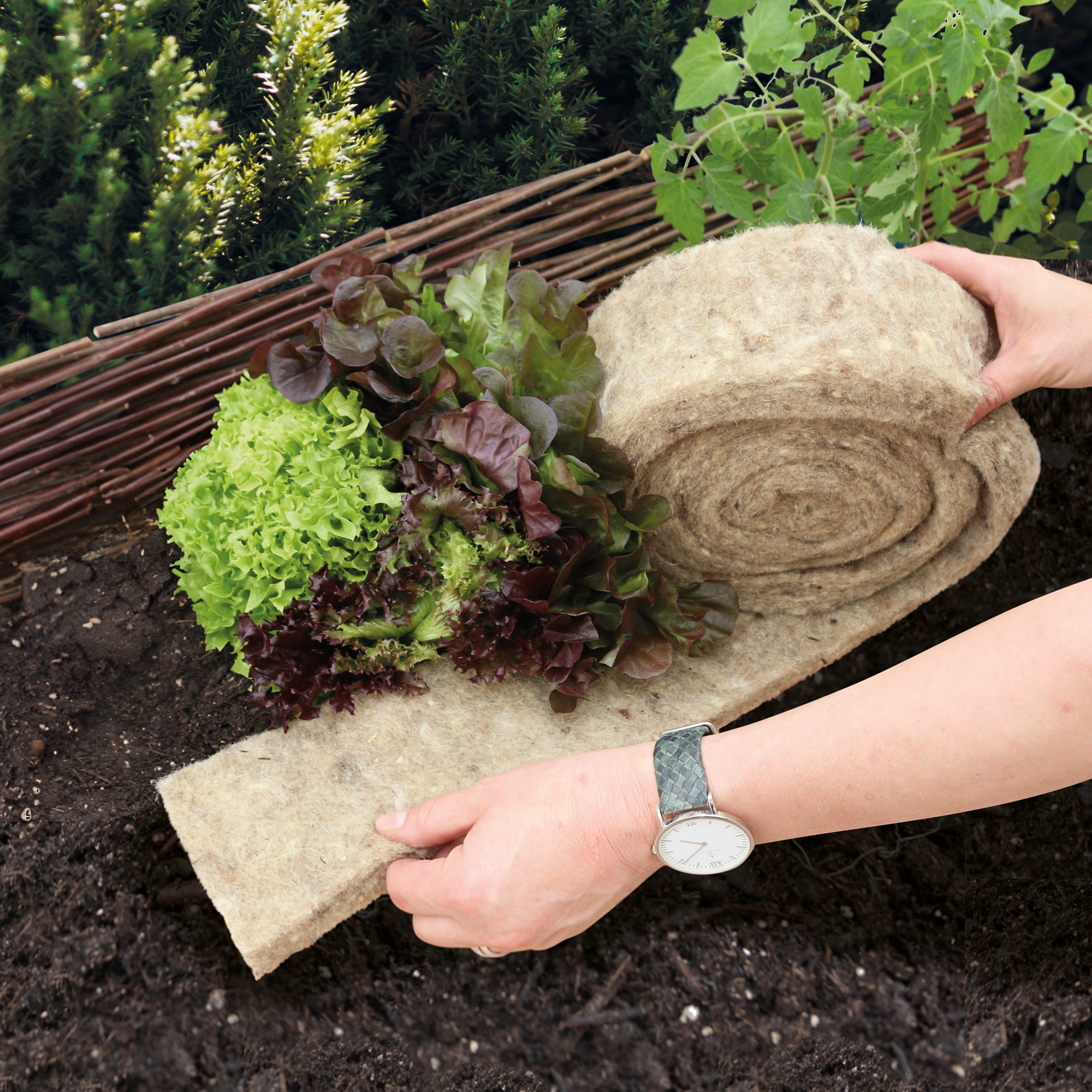 Schafwoll-Schneckenbremse 200 x 12 cm