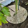 Schafwoll-Disc M Ø 37 cm für Beet und Pflanzkübel