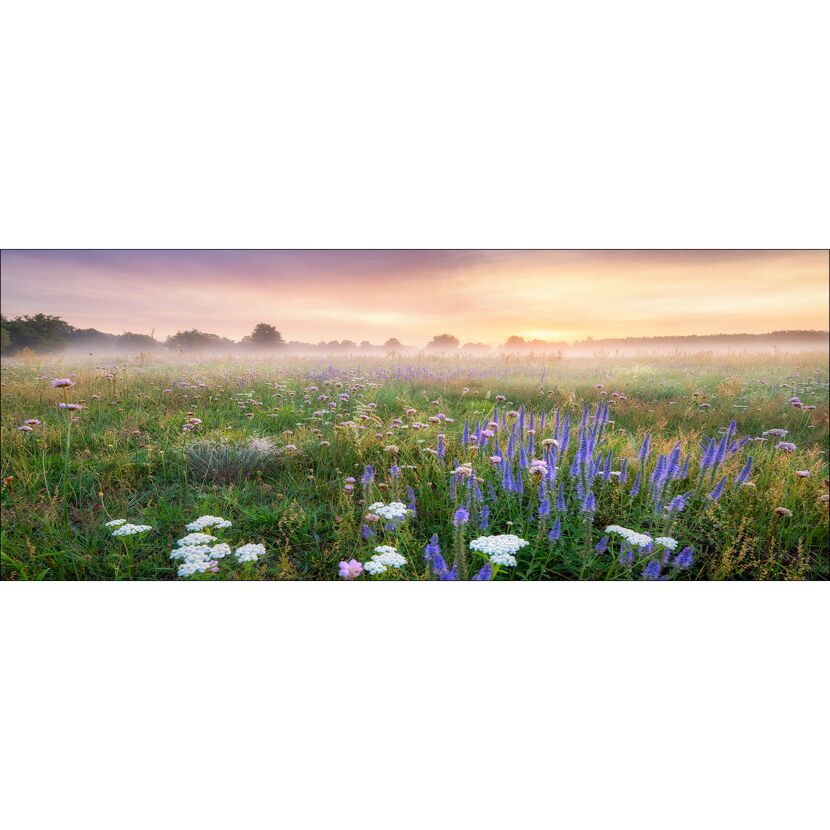 Glasbild Glas-Art 'Morning Haze' 125 x 50 cm