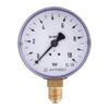 Standardmanometer RF40 D101 radial G1/8" von AFRISO