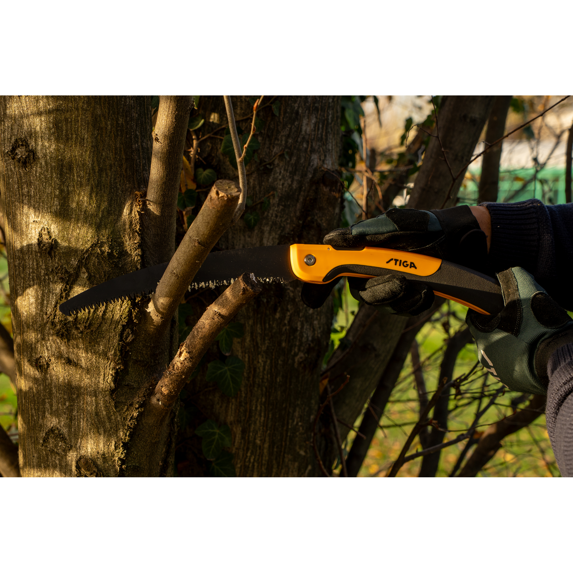 Astsäge klappbar 56 cm