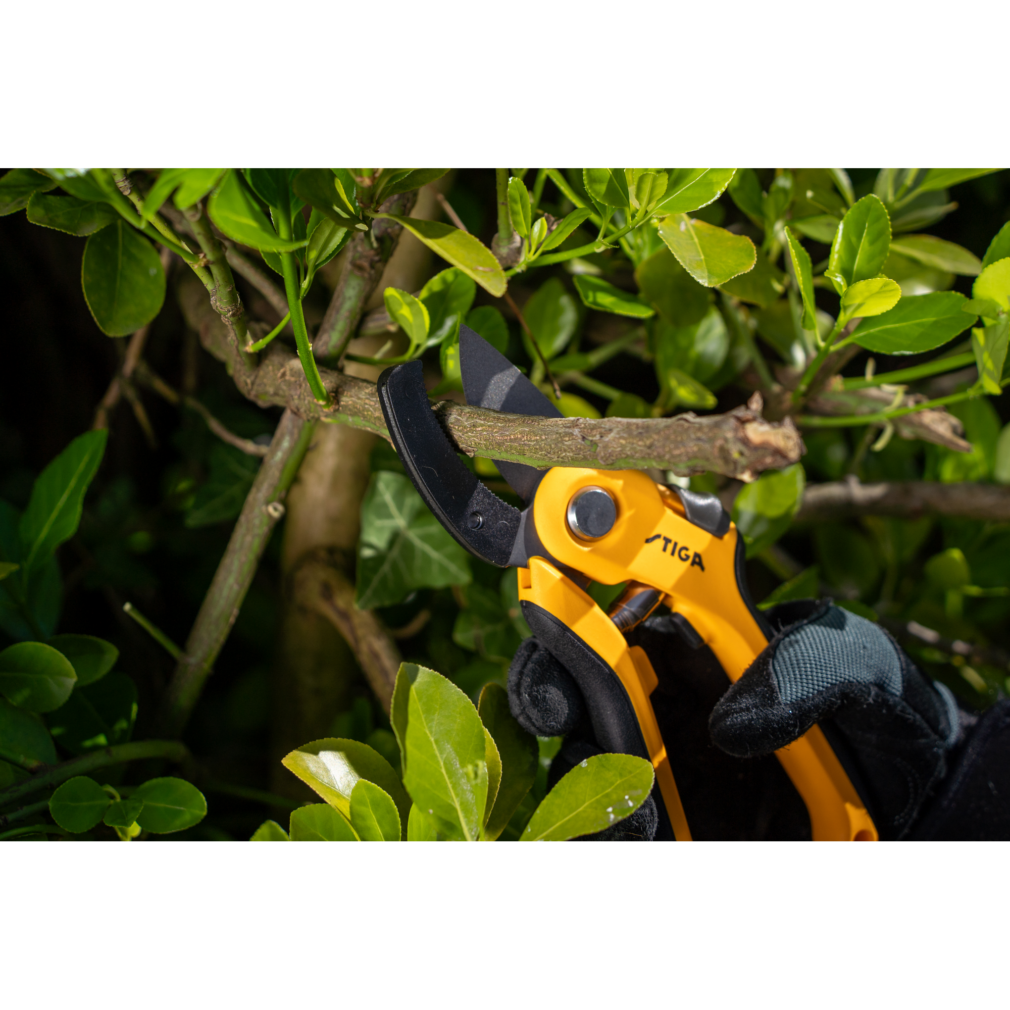 Amboss-Ast- und Strauchschere gelb 21 cm