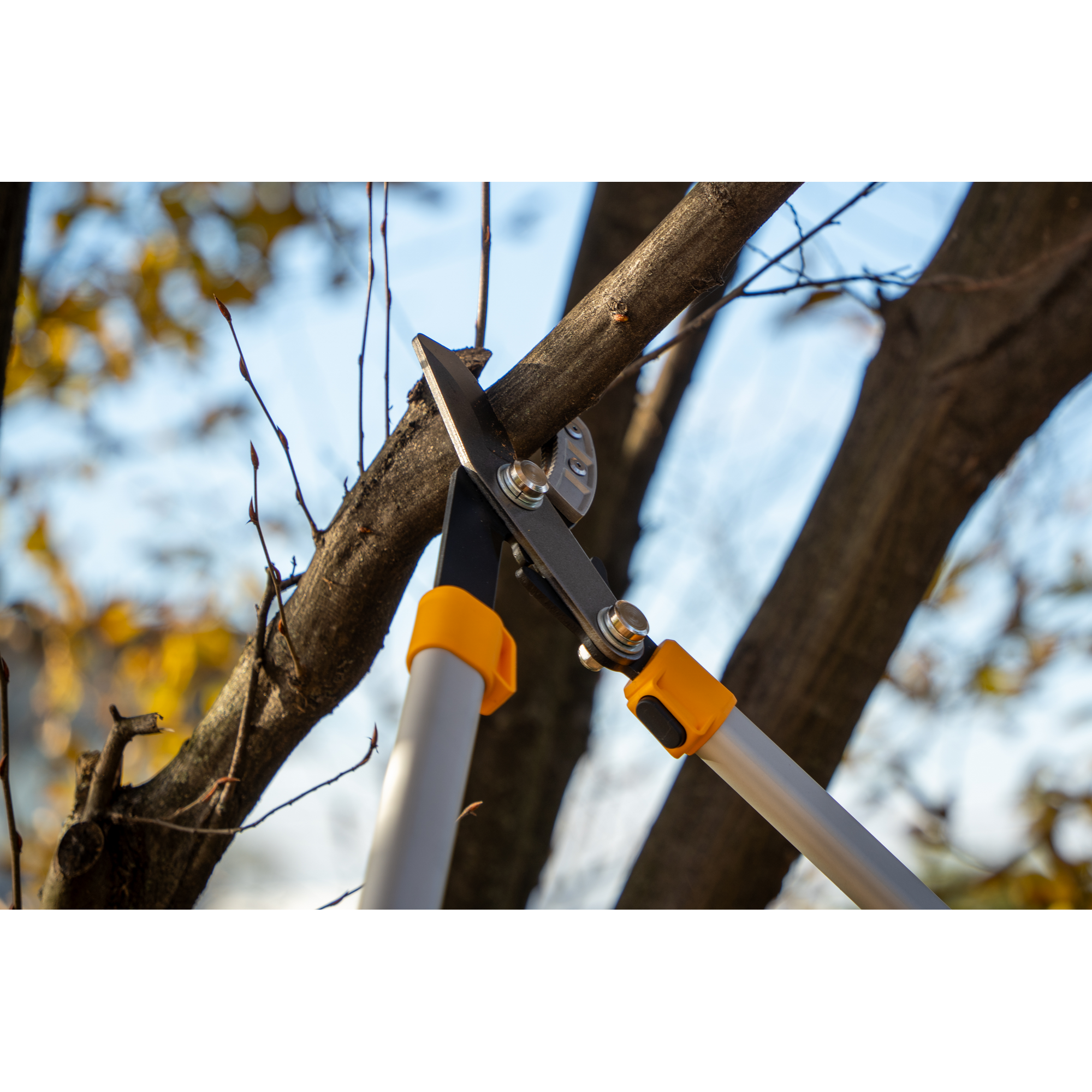 Amboss-Astschere gelb 71 cm