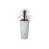 Regentonne 2in1 'Natura' arctic 210 l inklusive Pflanzschale