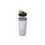 Regentonne 2in1 'Natura' arctic 210 l inklusive Pflanzschale