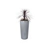 Regentonne 2in1 'Stone' silver 210 l inklusive Pflanzschale