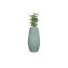 Regentonne 2in1 'Triagon' agave 230 l mit integrierter Pflanzschale