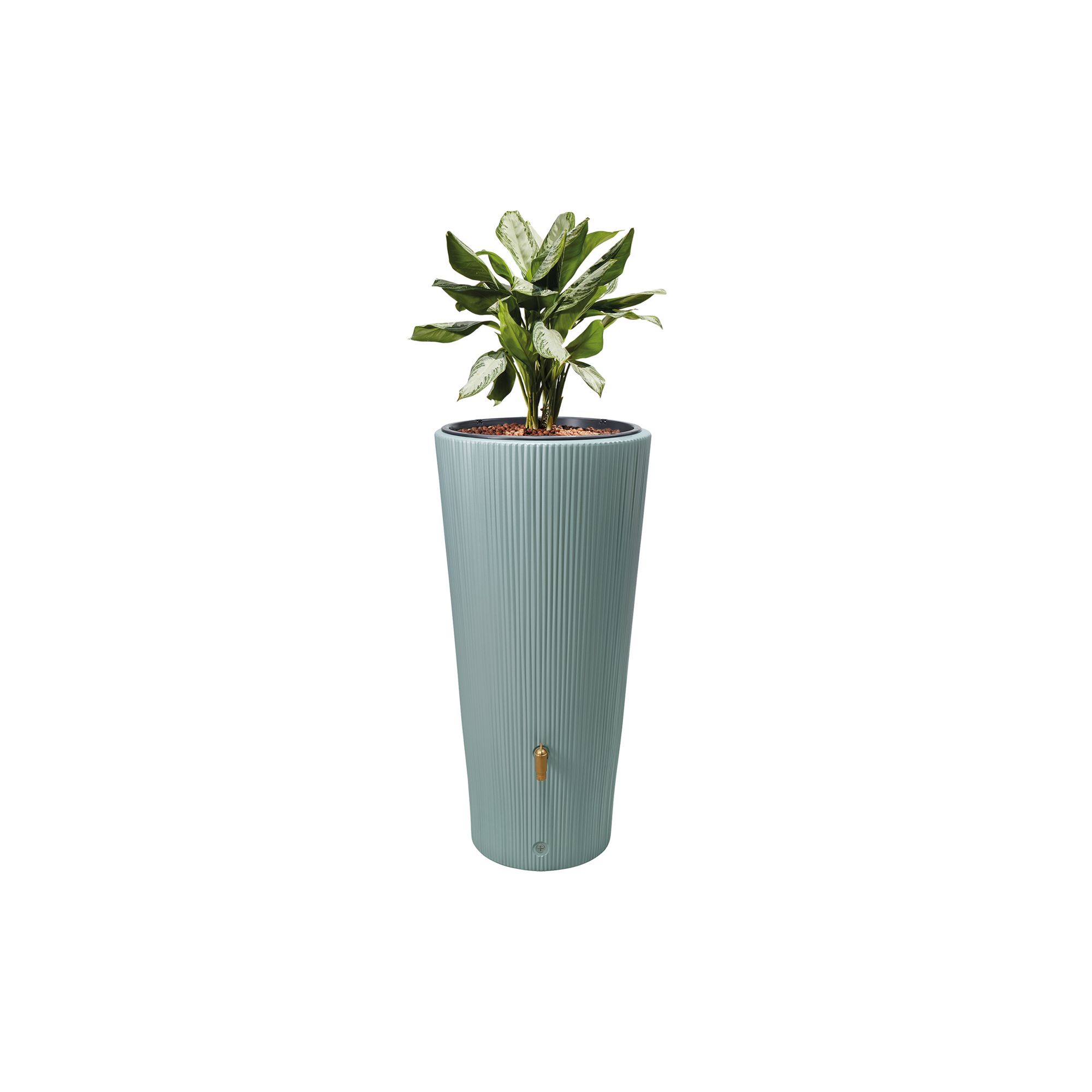 Regentonne 2in1 'Vaso Decor' agave 220 l inklusive Pflanzschale