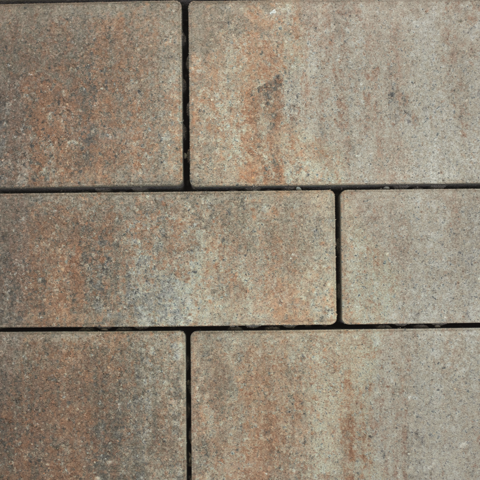 Pflaster 'Tala' muschelkalkfarben 8 cm