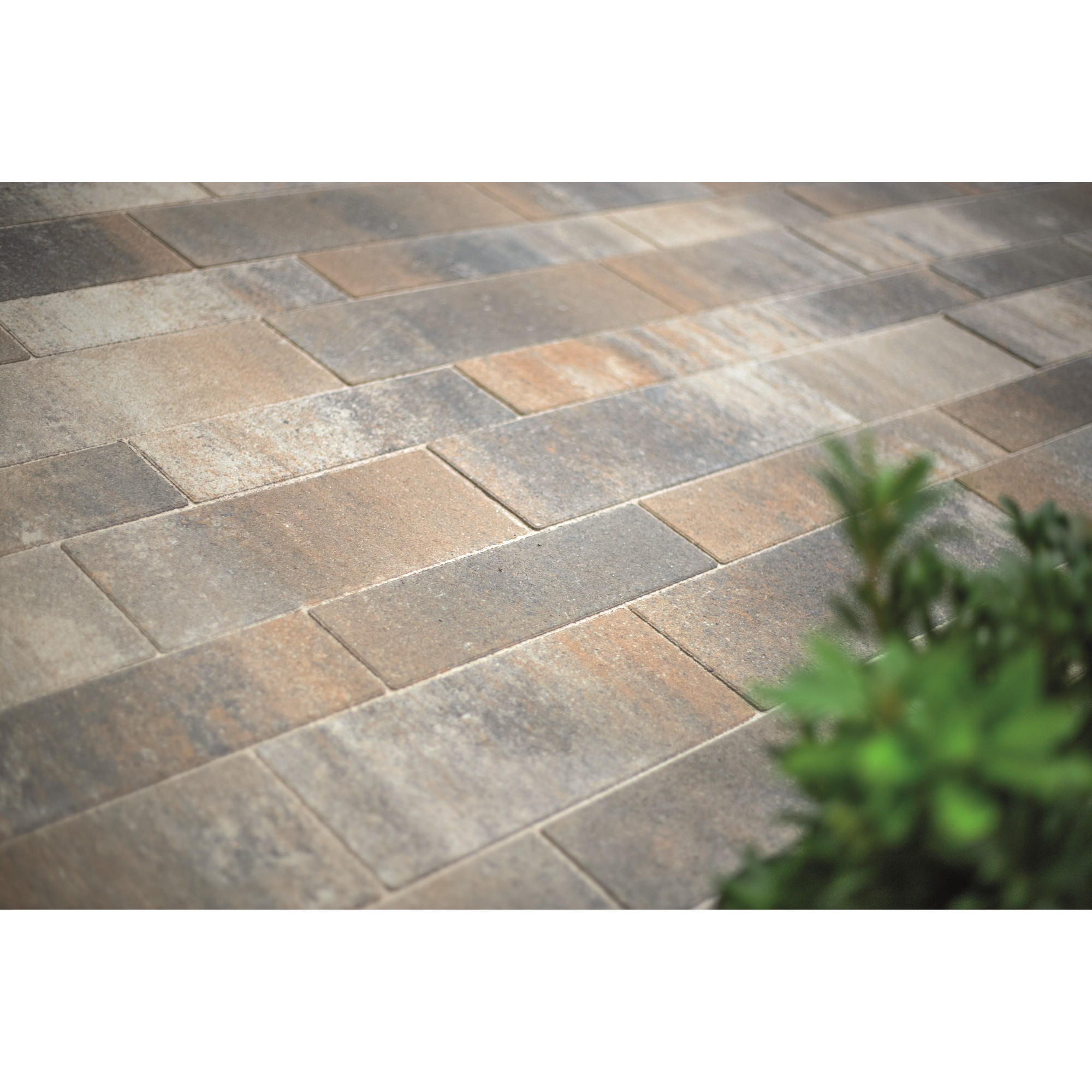 Pflaster 'Tala' muschelkalkfarben 8 cm