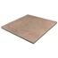Terrassenplatte braun/beige 60 x 60 x 4 cm