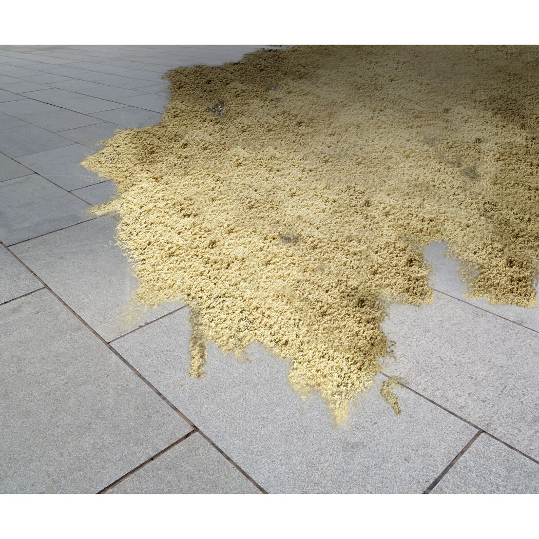 Fugenmörtel sandfarben 20 kg