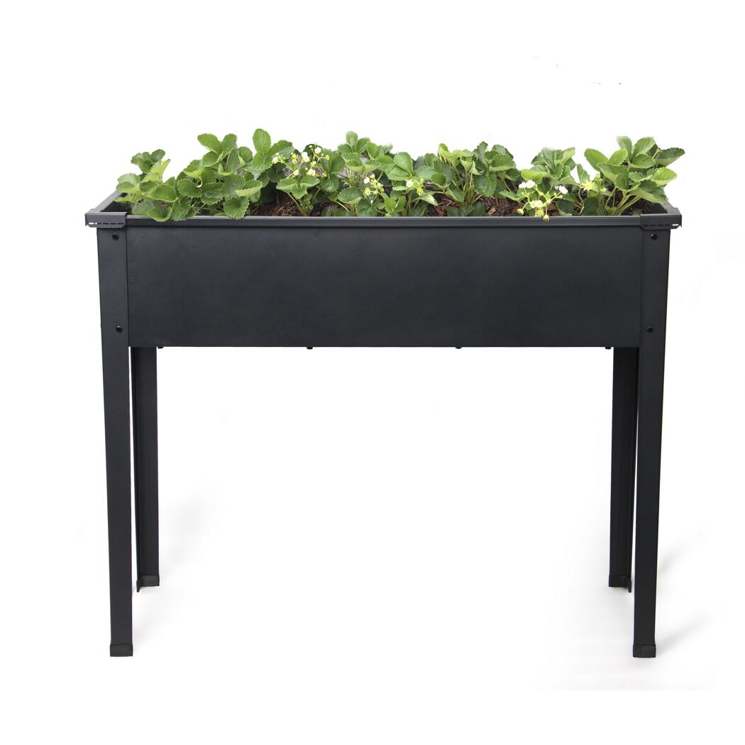 Mini-Hochbeet Metall anthrazit 100 x 80 x 40 cm