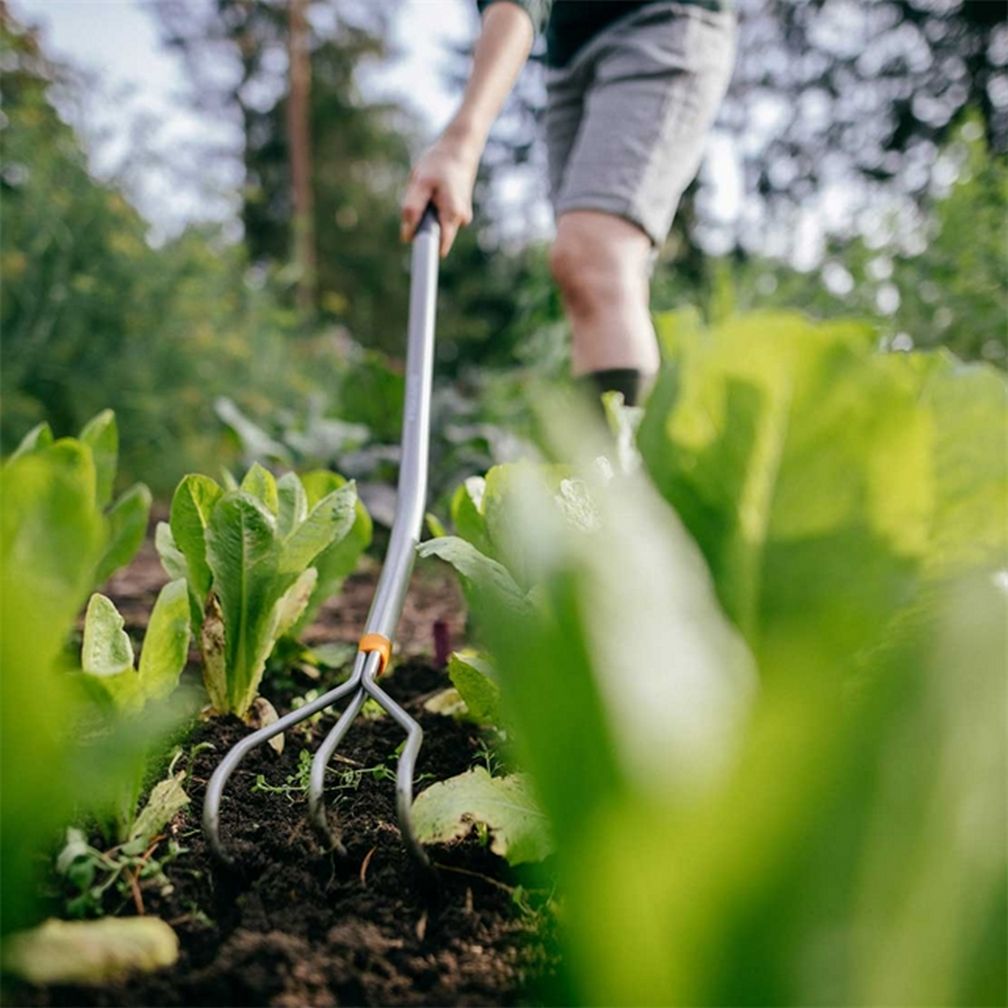 Grubber 'Ergonomic' 3 Zinken 173 cm