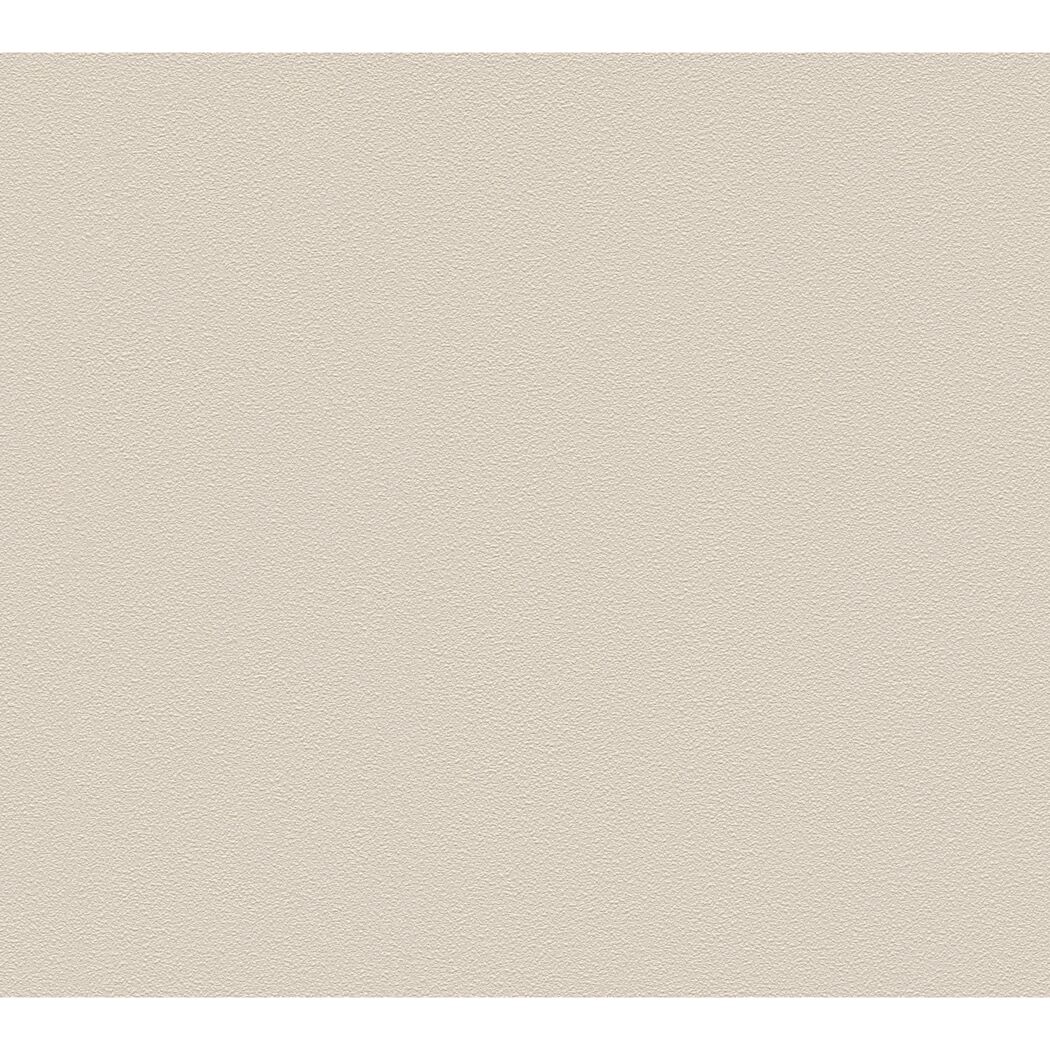 Vliestapete 'Meistervlies Protect Color' beige 10,05 x 0,53 m