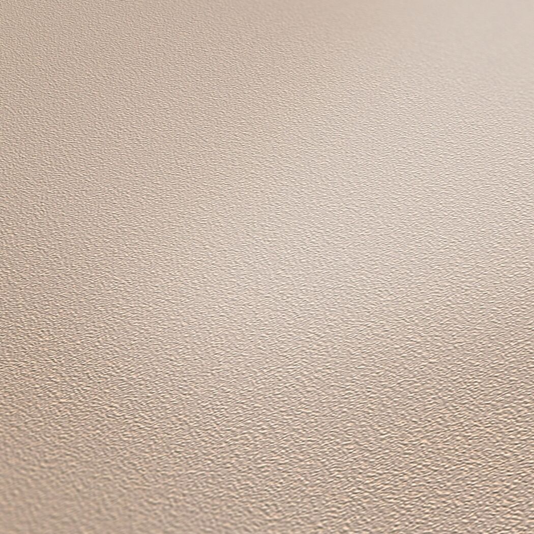 Vliestapete 'Meistervlies Protect Color' beige 10,05 x 0,53 m