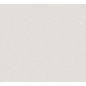 Vliestapete 'Meistervlies Protect Color' hellgrau 10,05 x 0,53 m