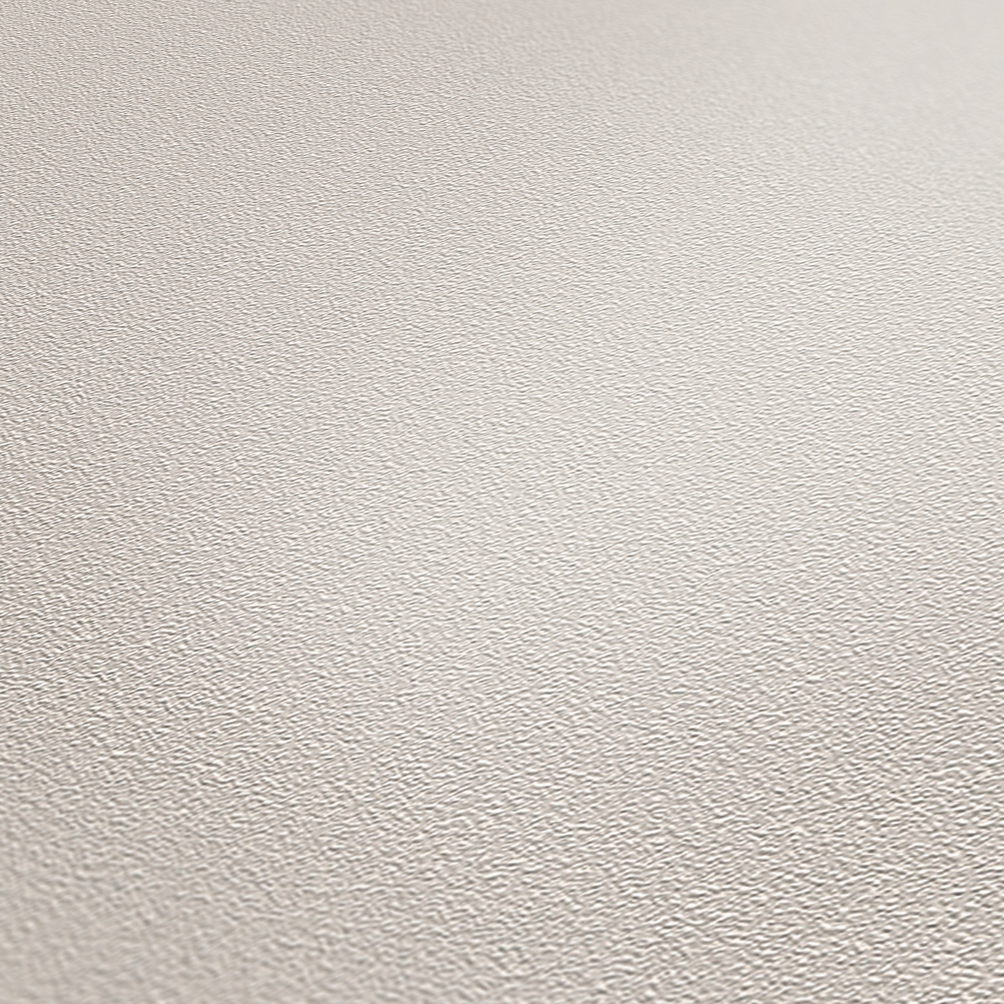 Vliestapete 'Meistervlies Protect Color' hellgrau 10,05 x 0,53 m