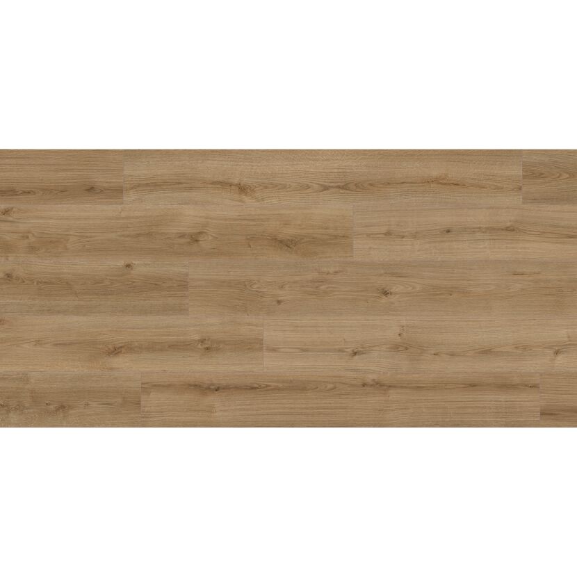 Laminat 'Eiche Evoke Trend K4421 EG' 7 mm