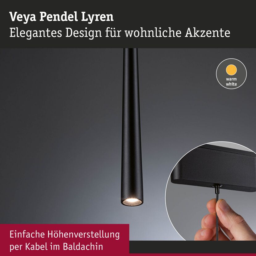 LED-Pendelleuchte 'Veya Lyren' mattschwarz 3000 K 5 W 440 lm