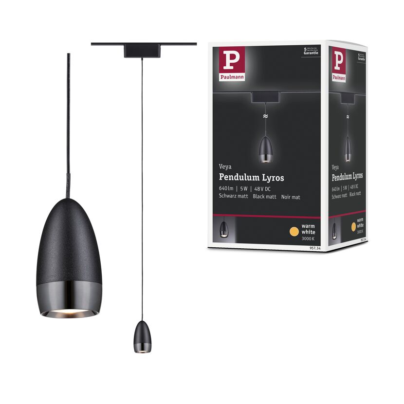 LED-Pendelleuchte 'Veya Lyros' mattschwarz 3000 K 5 W 600 lm