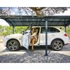 Einzelcarport 'Arcadia' anthrazit 359 x 649 cm Polycarbonat grau