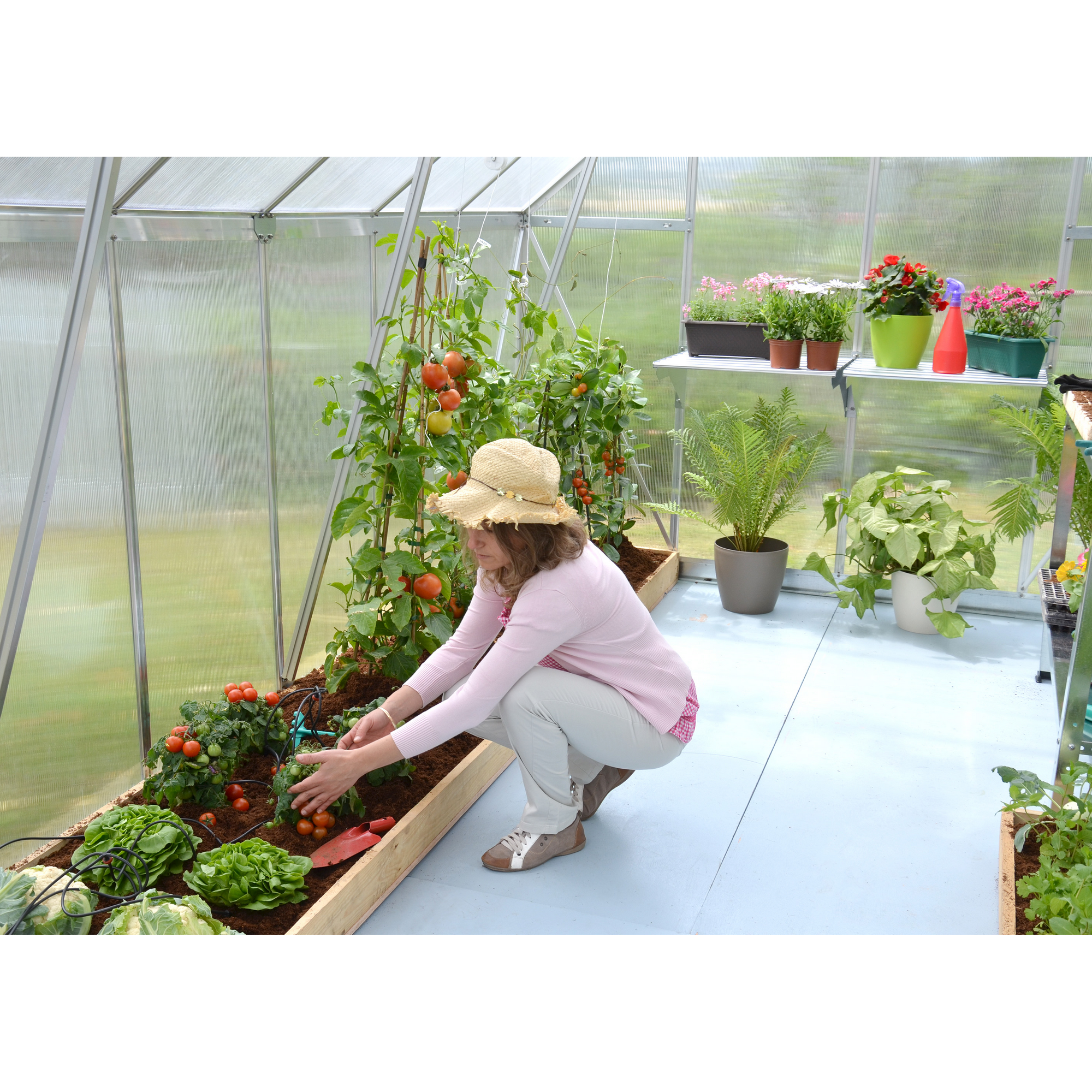 Gewächshaus 'Essence' 244 x 367 cm mit 4 mm Hohlkammerplatten silbern