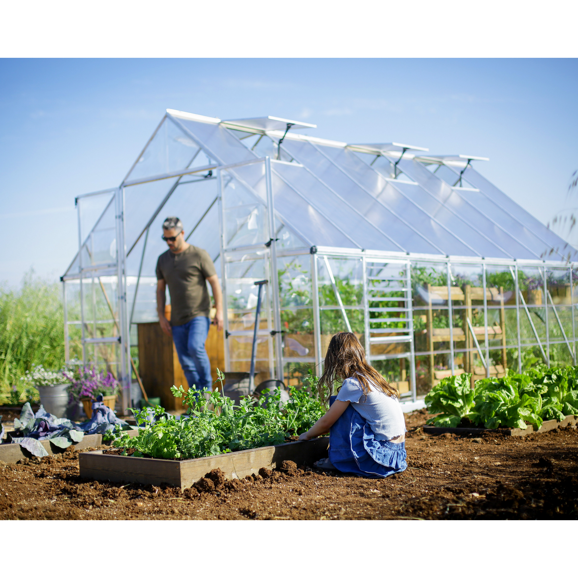 Gewächshaus 'Balance' 304 x 484 cm mit 4 mm Hohlkammerplatten silbern