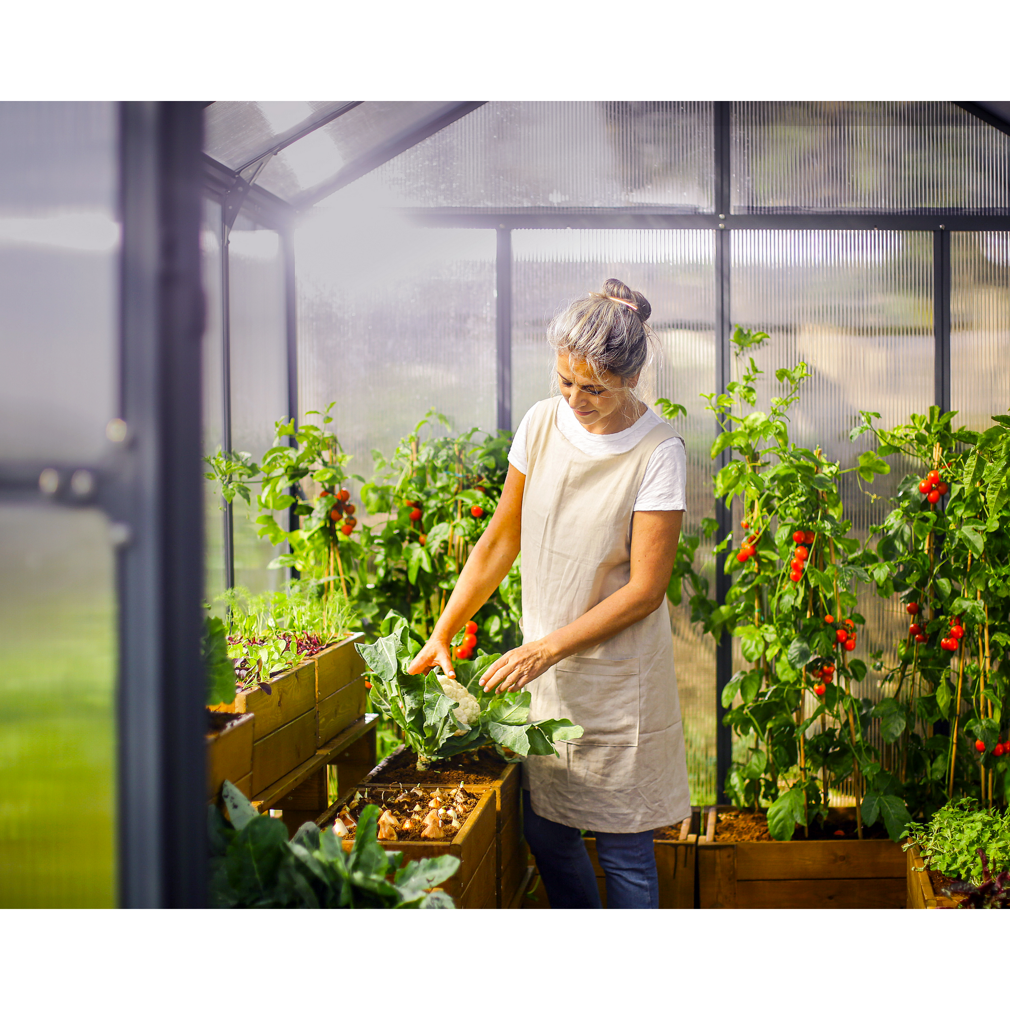 Gewächshaus 'Glory' 253 x 604 cm mit 10 mm Hohlkammerplatten grau