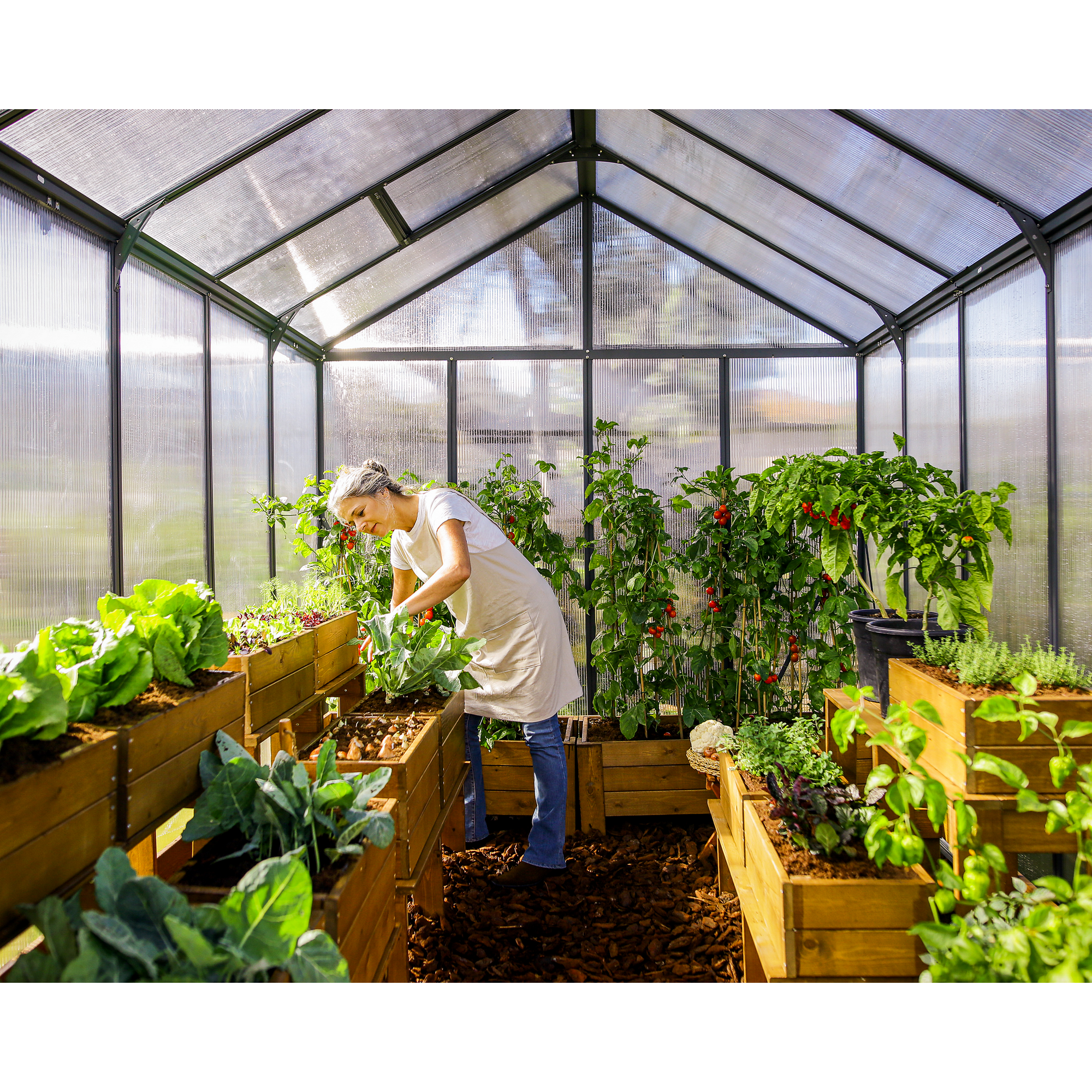 Gewächshaus 'Glory' 253 x 364 cm mit 10 mm Hohlkammerplatten grau