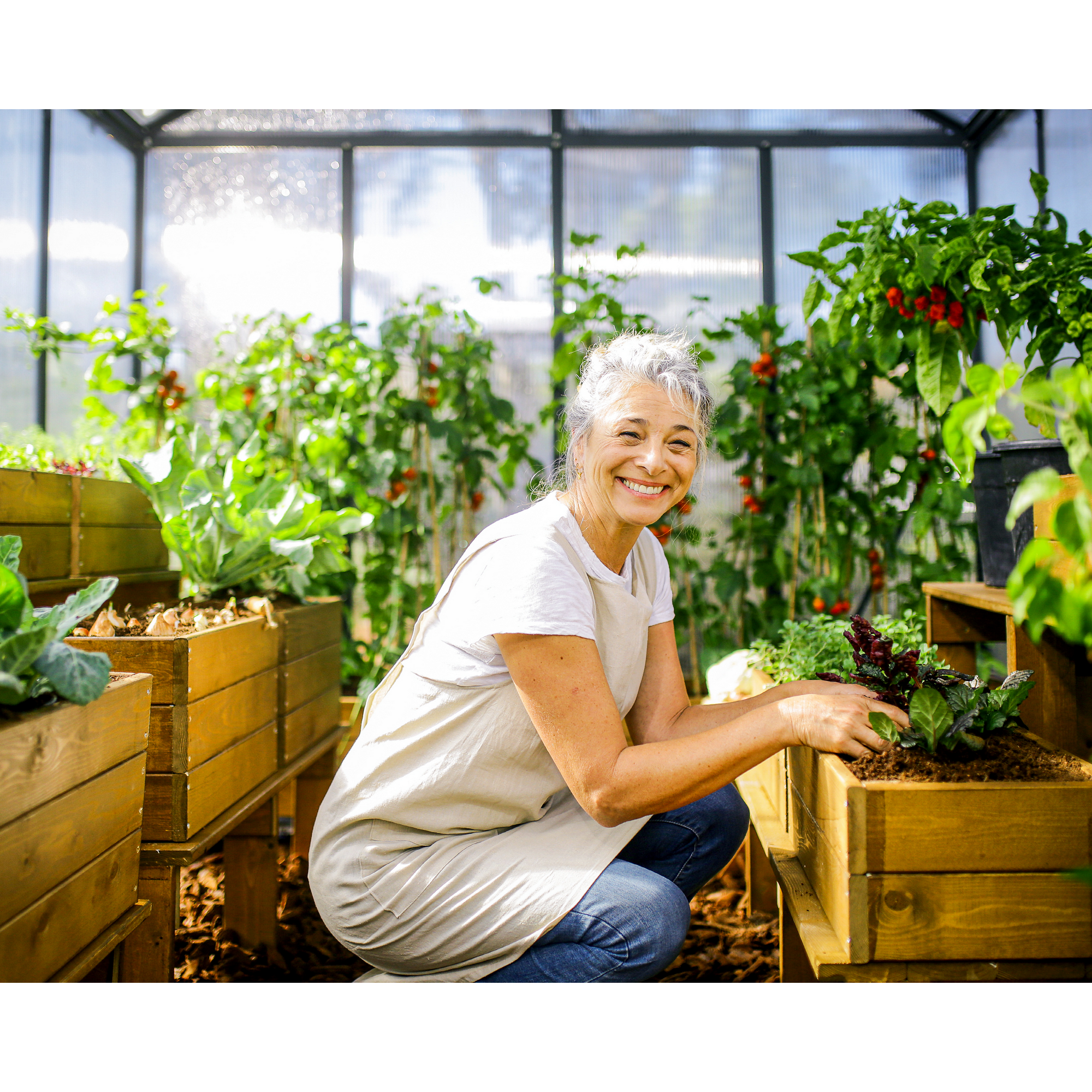 Gewächshaus 'Glory' 253 x 244 cm mit 10 mm Hohlkammerplatten grau