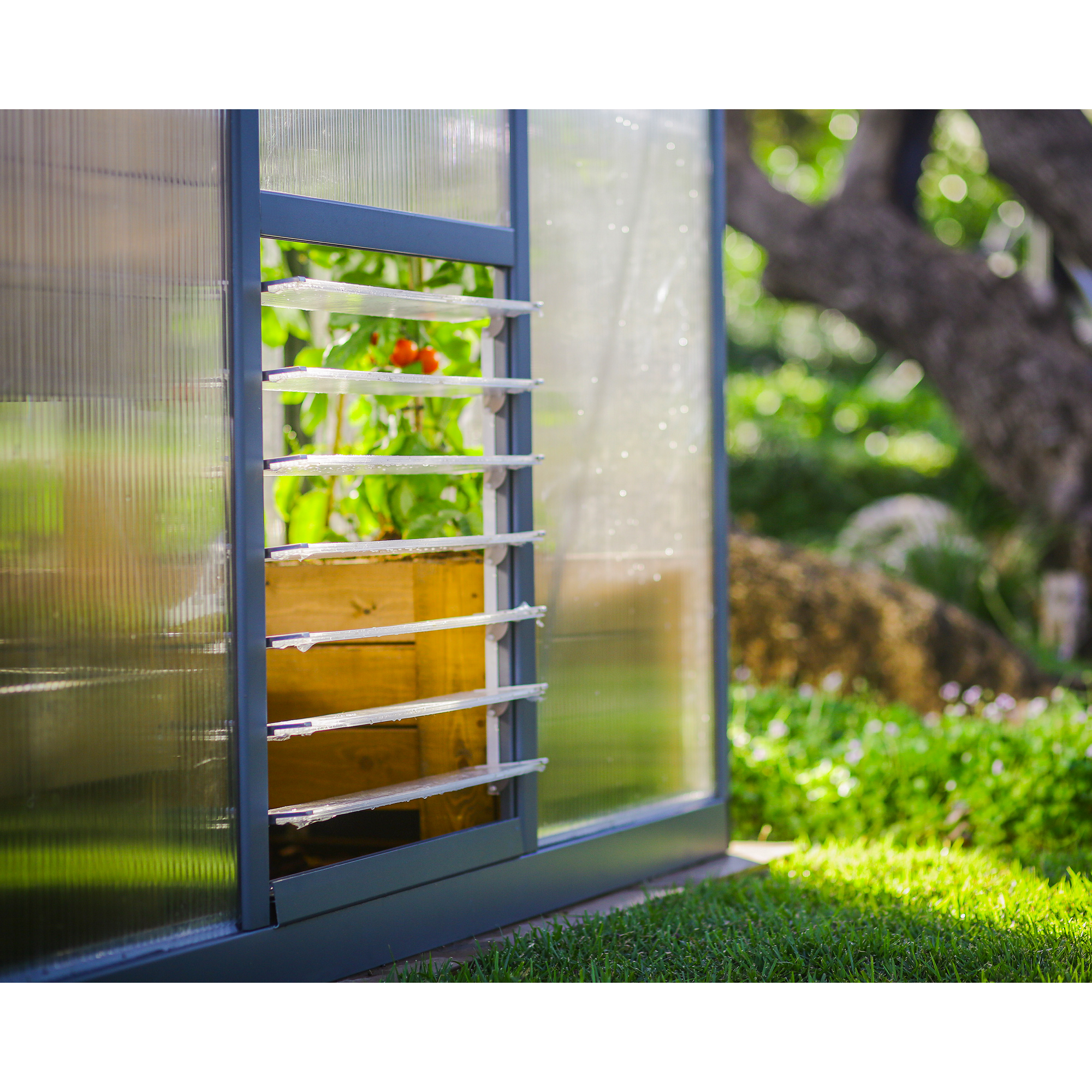 Gewächshaus 'Glory' 253 x 244 cm mit 10 mm Hohlkammerplatten grau