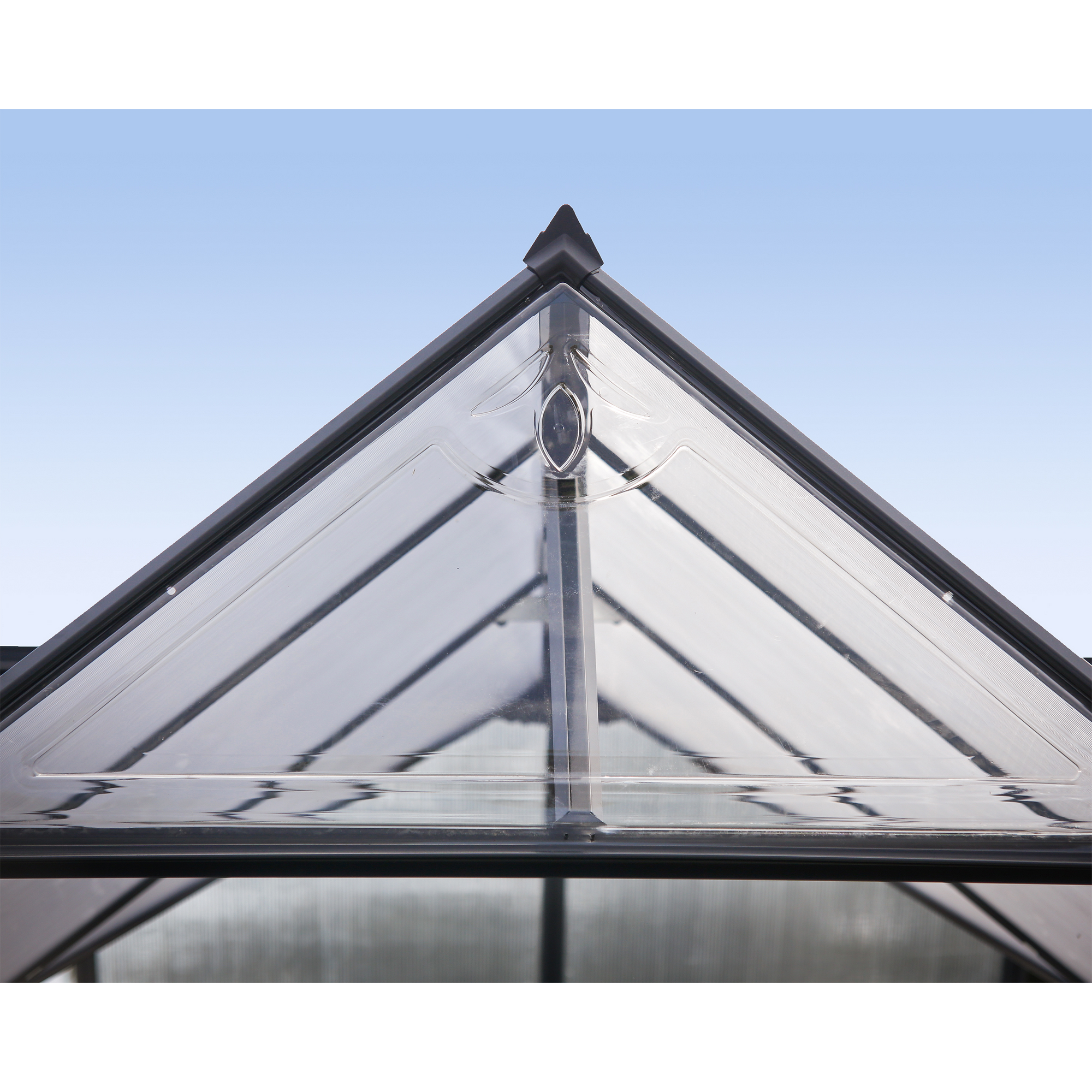 Gewächshaus 'Victory' 365 x 305 cm mit 4 mm Hohlkammerplatten schwarz