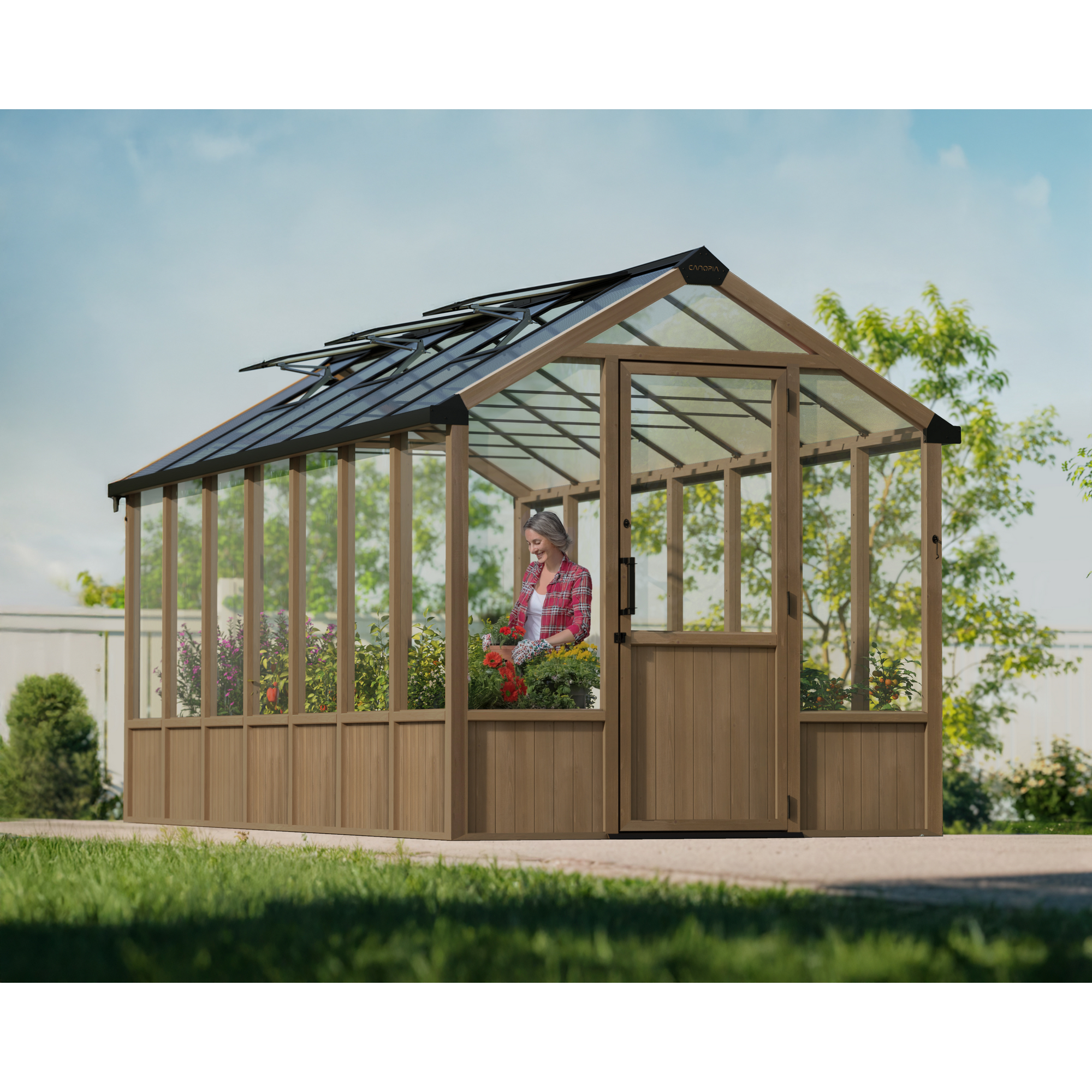 Gewächshaus 'Natura' Zedernholz 237,4 x 504 cm mit 6 mm Doppelstegplatten braun