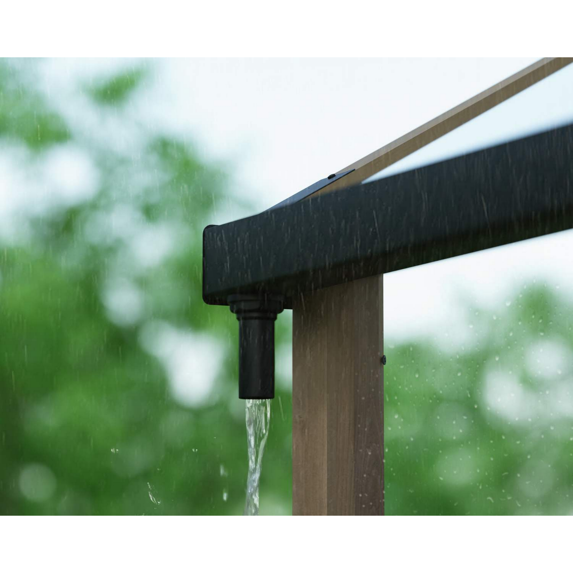 Gewächshaus 'Natura' Zedernholz 237,4 x 644 cm mit 6 mm Doppelstegplatten braun