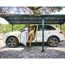 Doppelcarport 'Arcadia' anthrazit 359 x 1290 cm Polycarbonat grau