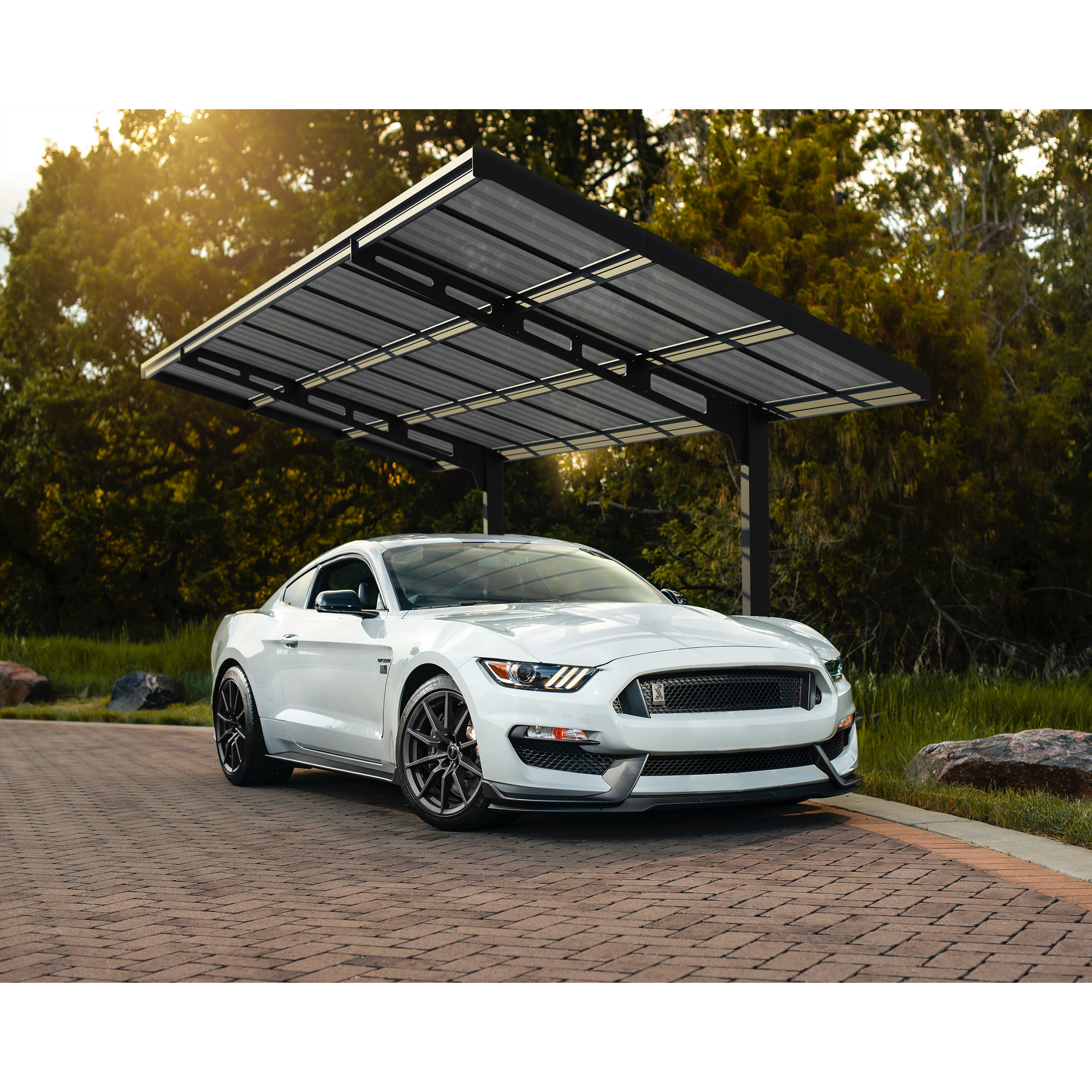 Einzelcarport 'Sydney Wave' schwarz 286 x 587 cm Polycarbonat grau