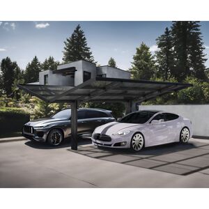 Doppelcarport 'Sydney Wings' schwarz 572 x 586 cm Polycarbonat grau