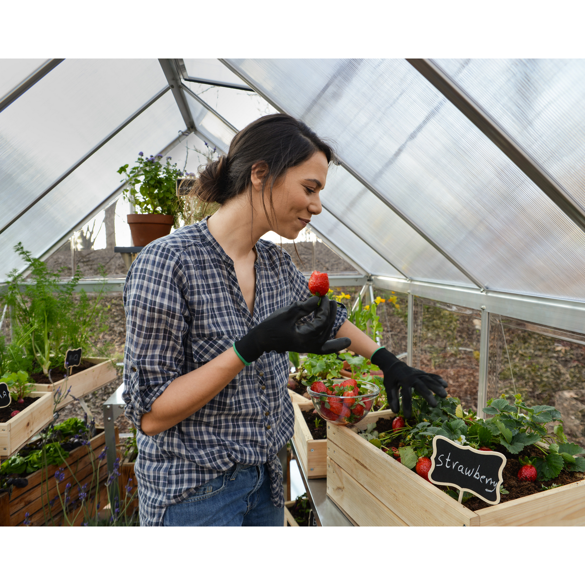 Gewächshaus 'Hybrid' 185 x 247 cm mit 4 mm Hohlkammerplatten silbern