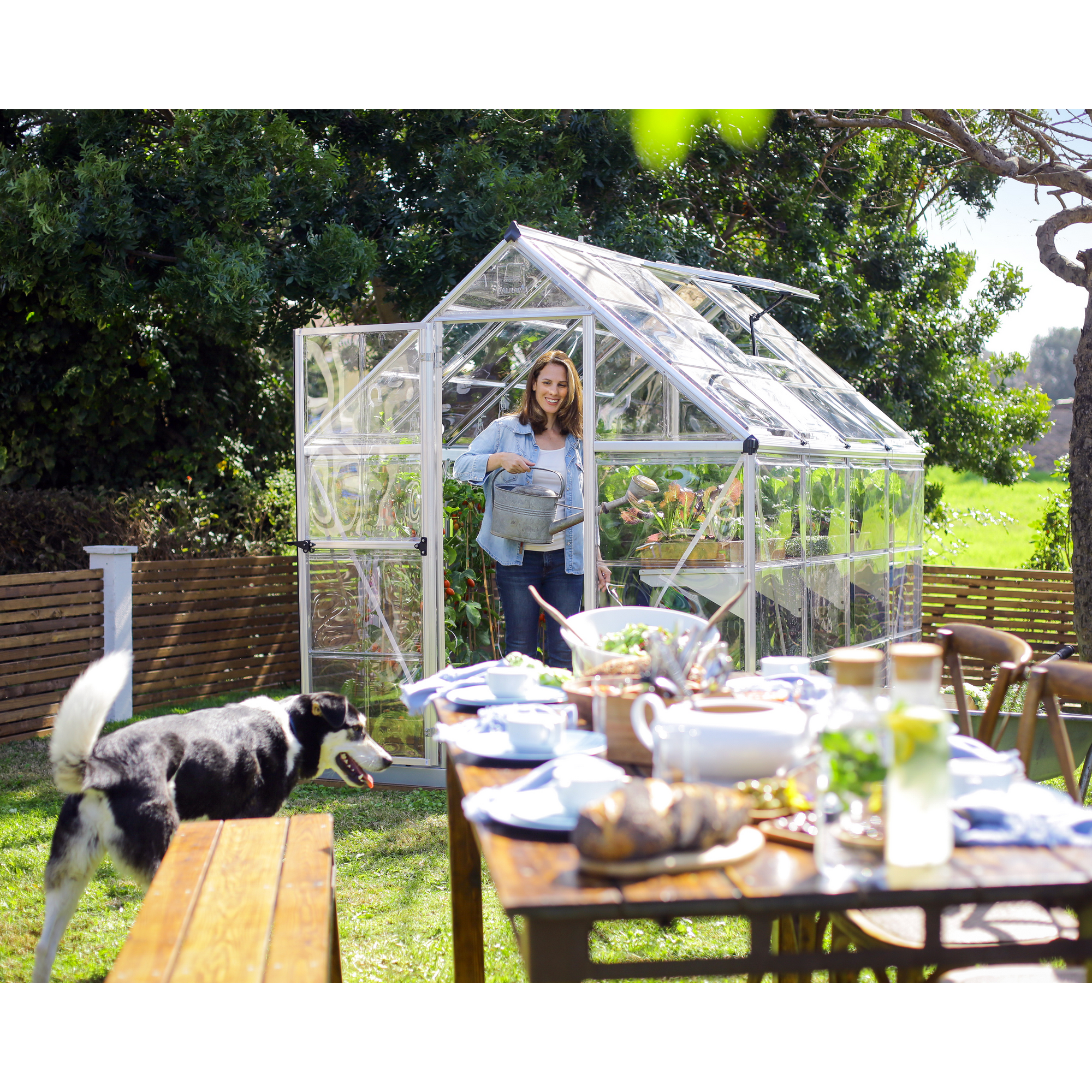 Gewächshaus 'Harmony' 185 x 247 cm mit 0,7 mm klaren Polycarbonatplatten silbern