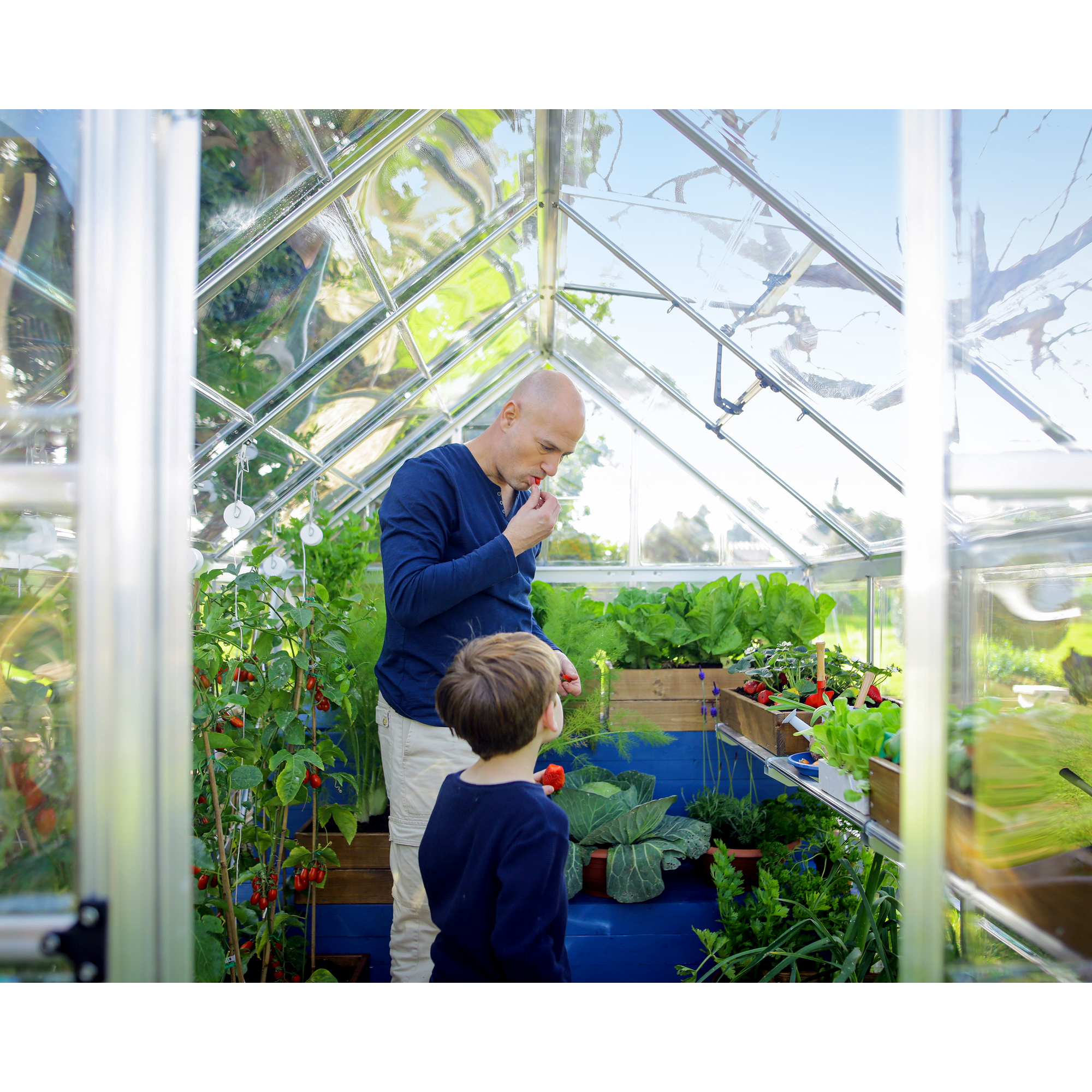 Gewächshaus 'Harmony' 185 x 247 cm mit 0,7 mm klaren Polycarbonatplatten silbern