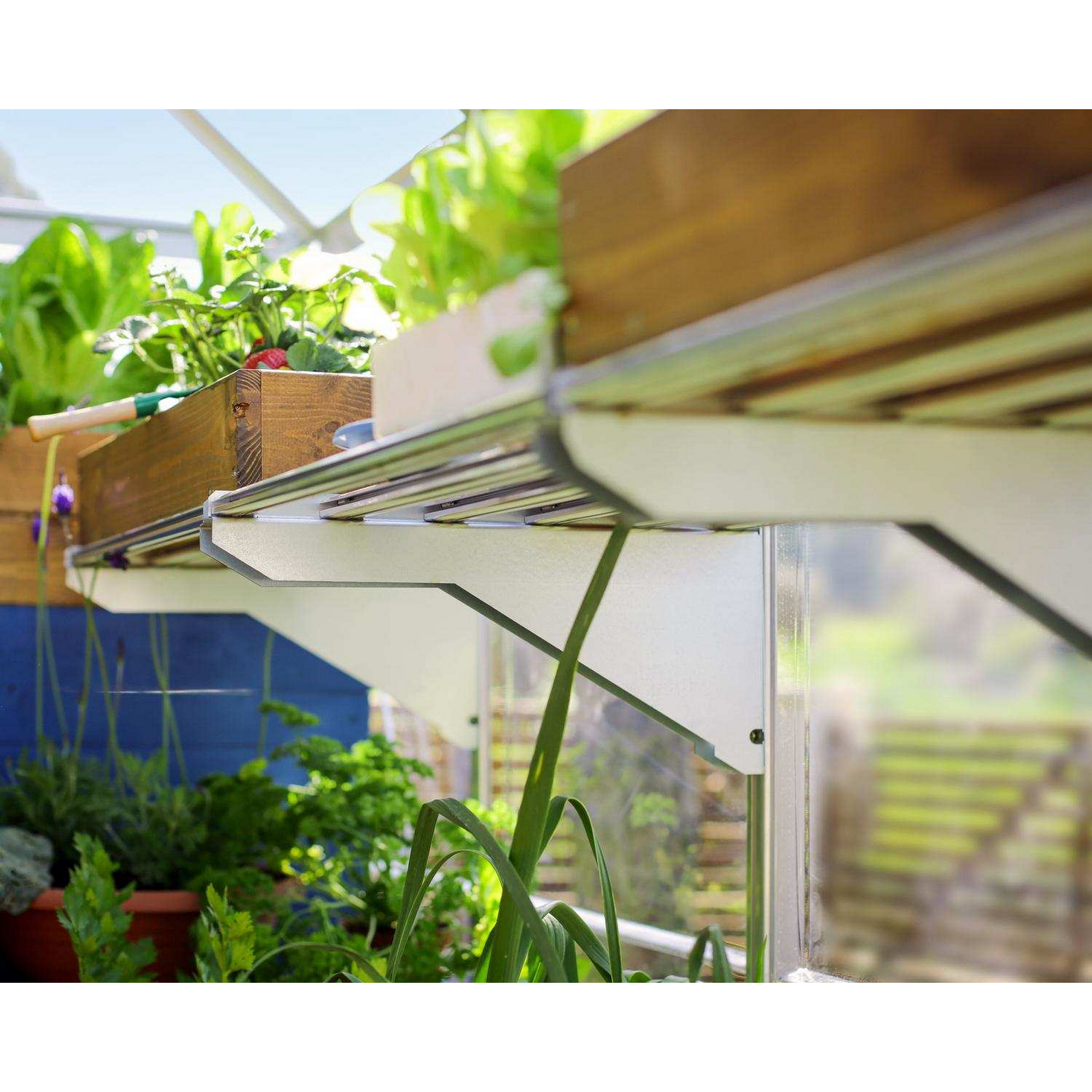 Schwerlastregal für Gewächshaus silber 42,2 x 62,2 cm