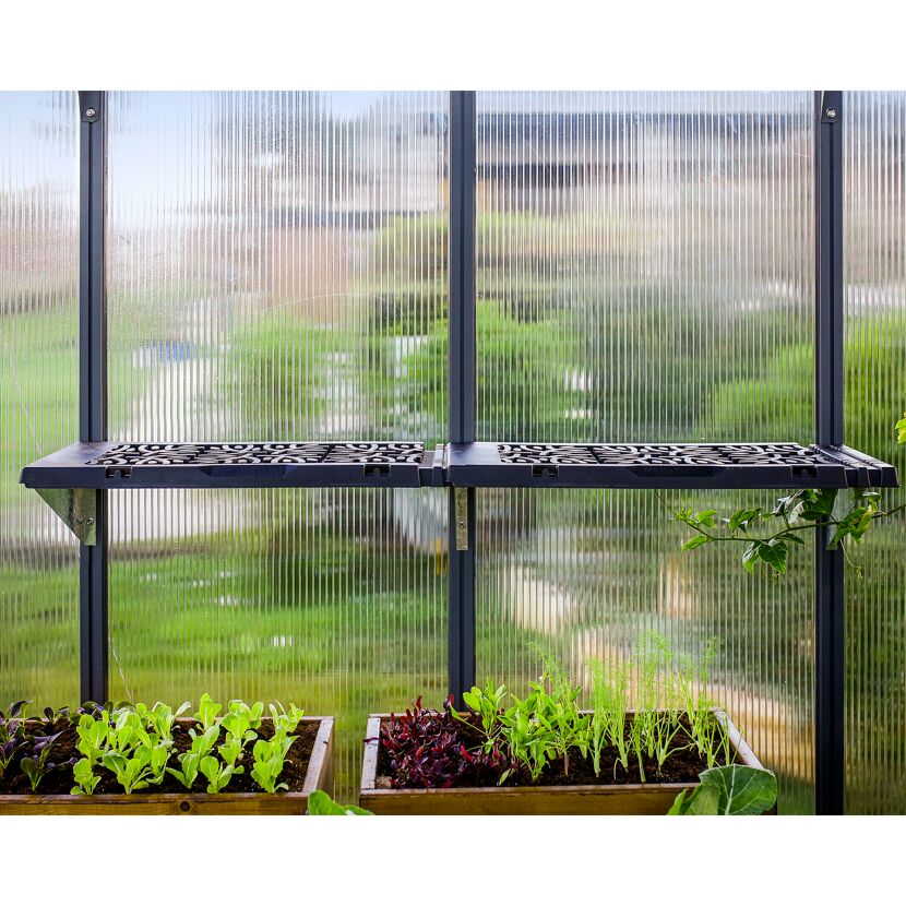 Regalset für Gewächshaus anthrazit 26 x 65 cm Polypropylen, 4er-Pack